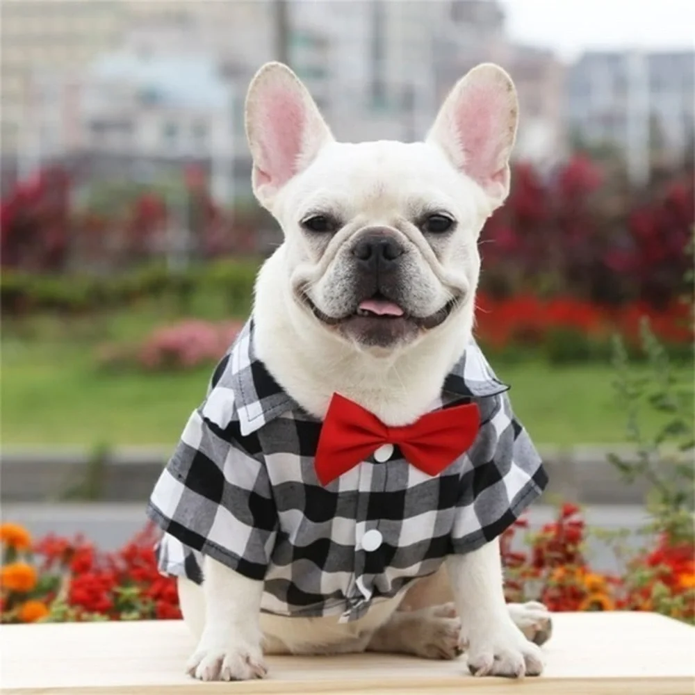 NWOT Stylish Black and White Checkered Dog Shirt with Red Bow Tie Size M